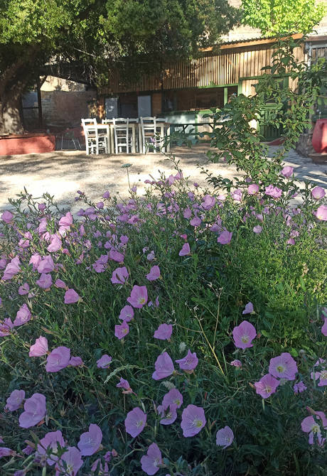 Akros Oreon Green Hotel Crete Exterior 857