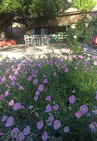 Akros Oreon Green Hotel Crete Common Spaces 857