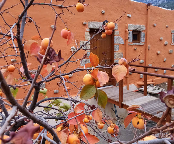 Akros Oreon Green Hotel Crete Honeymoon House 452