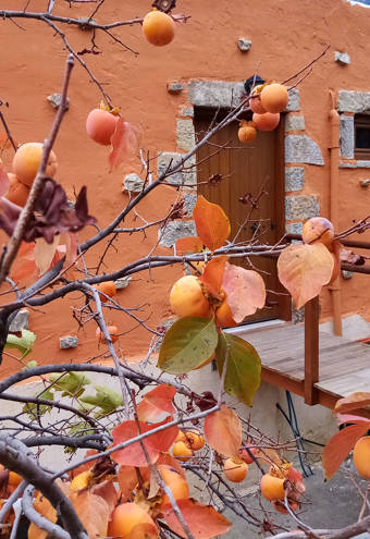 Akros Oreon Green Hotel Crete Honeymoon House 452