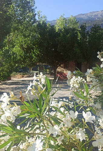 Akros Oreon Green Hotel Crete Gardens 511