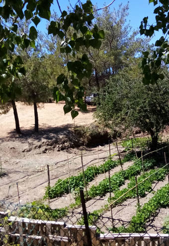 Akros Oreon Green Hotel Crete Gardens 612